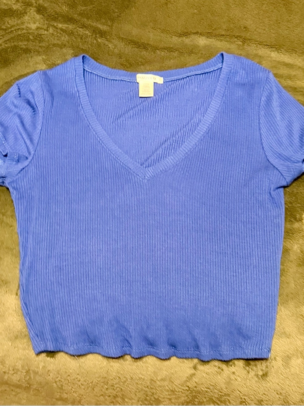 Blue Ribbed V-Neck Women's Top